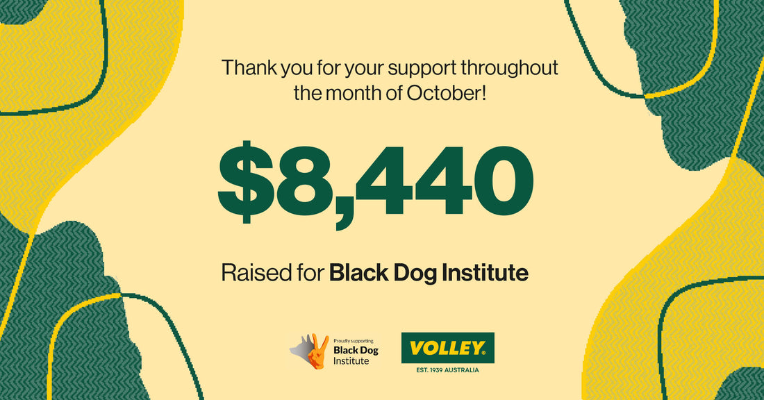October: Our Donation to the Black Dog Institute