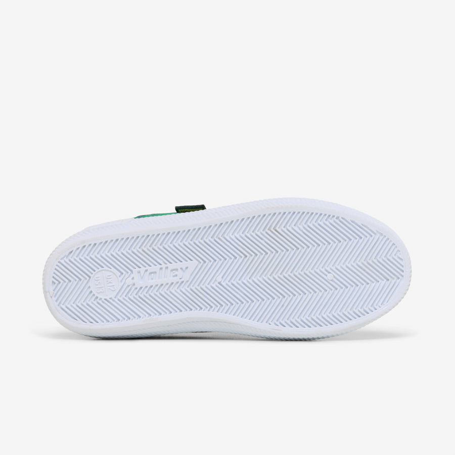 International Junior - Lizard