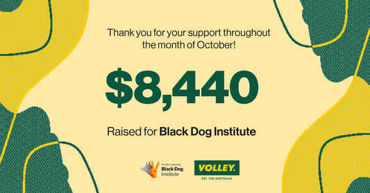 October: Our Donation to the Black Dog Institute