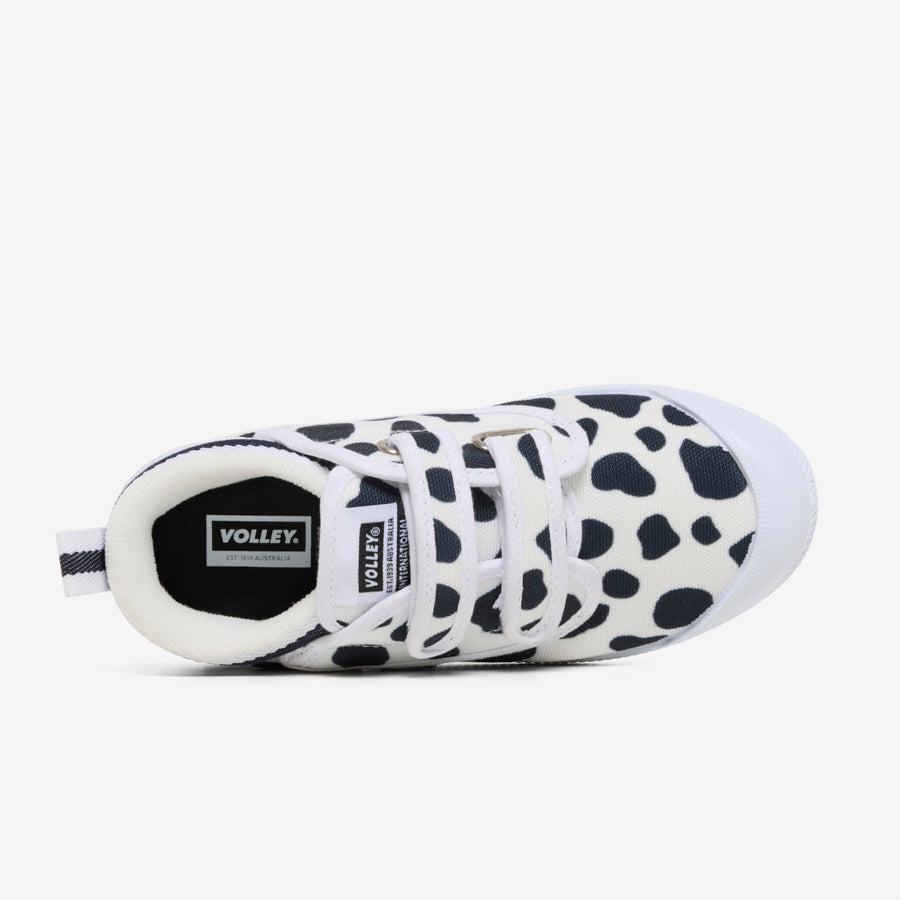 International Junior - Cow