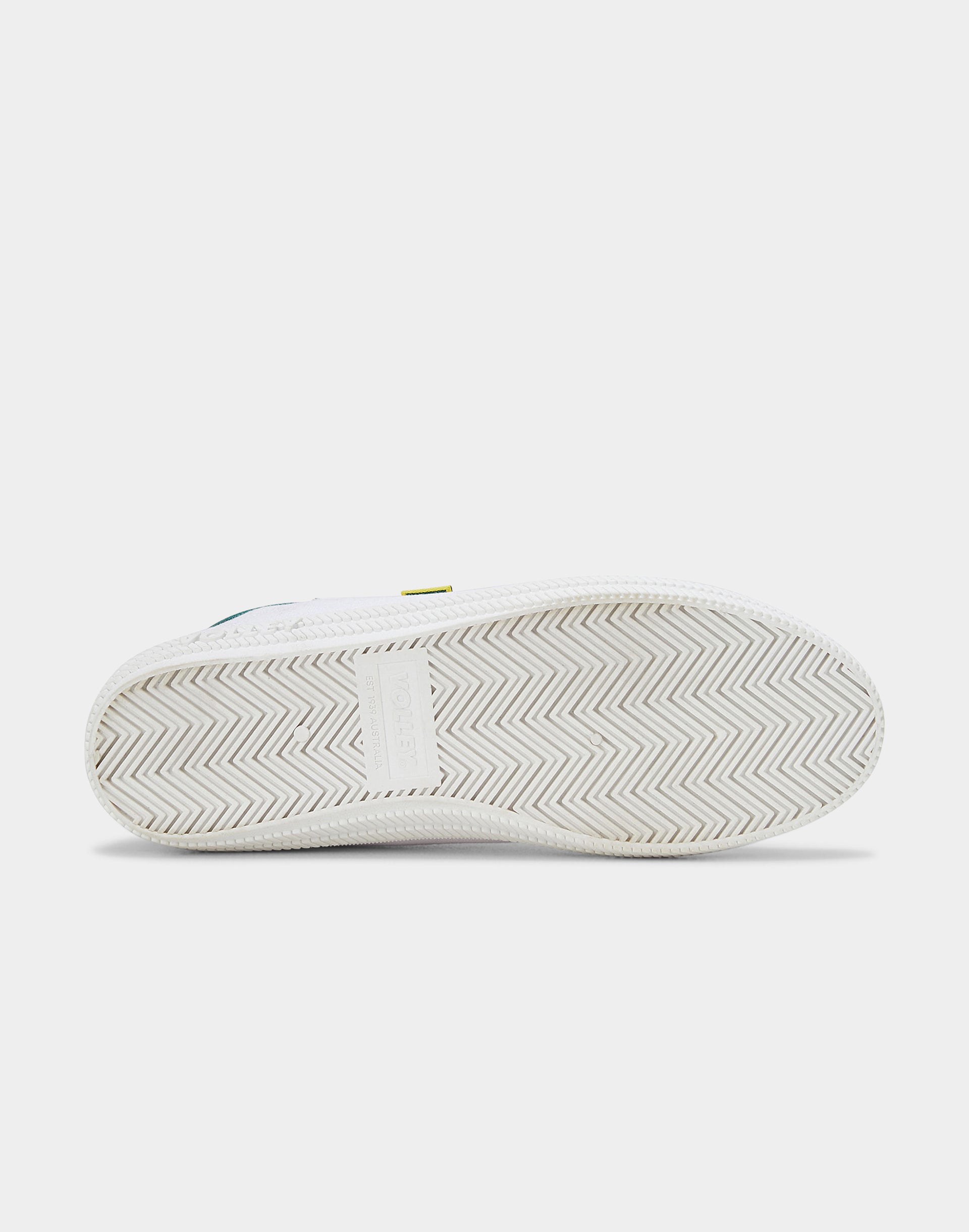 DWVUE004_DWWHT1_5_1768286071000