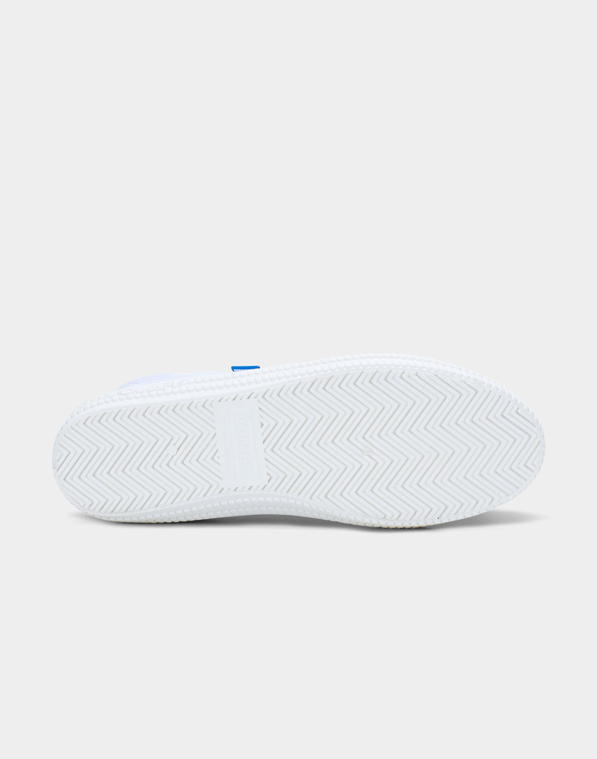 DWVUE005_DWWHT2_5_1768286438000