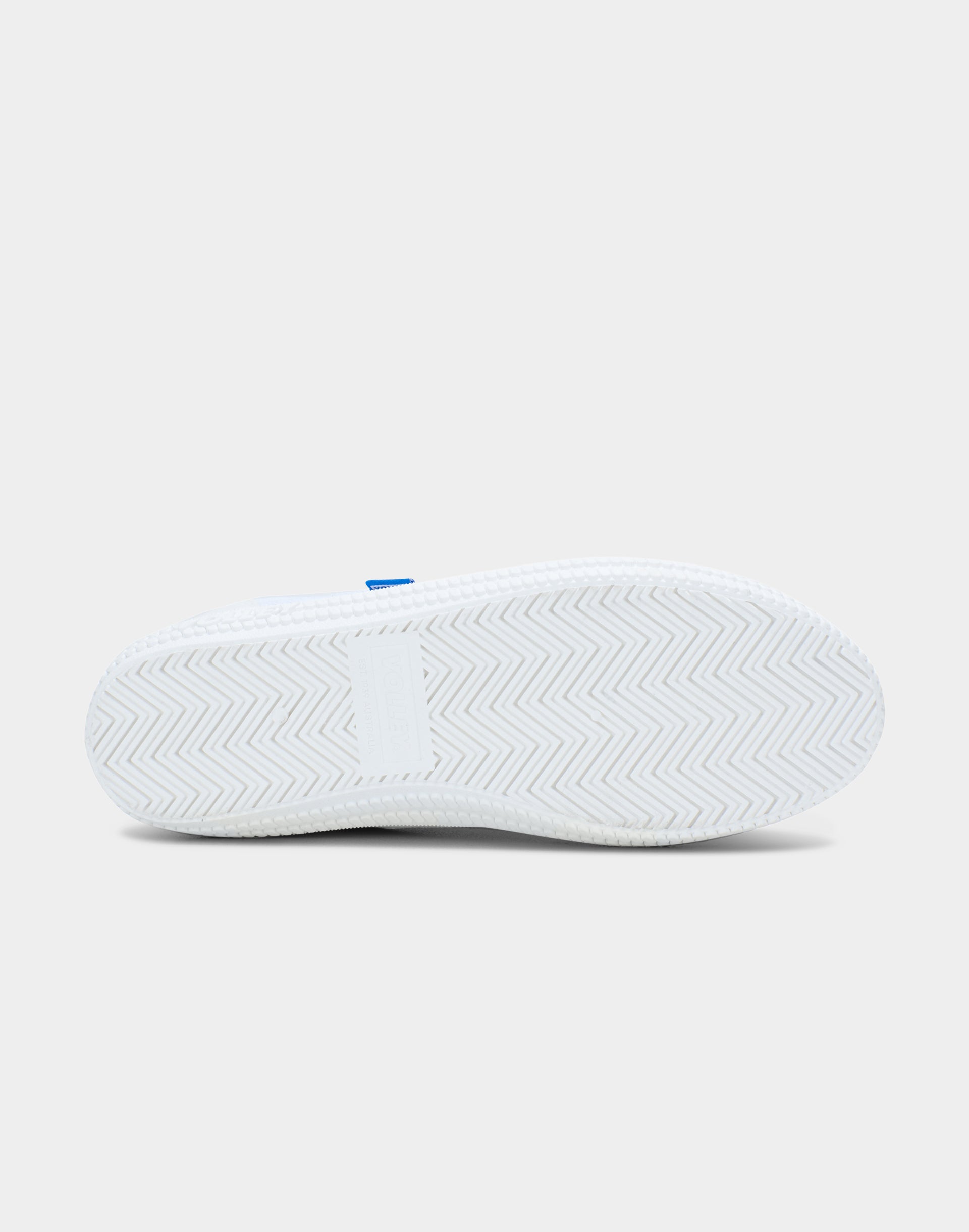 DWVUE006_DWWHT2_5_1768286779000