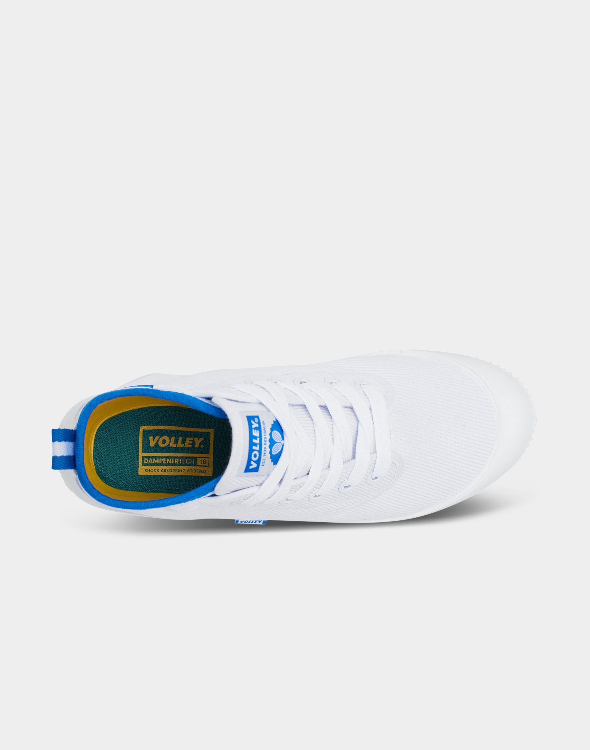 DWVUE006_DWWHT2_6_1768286790000