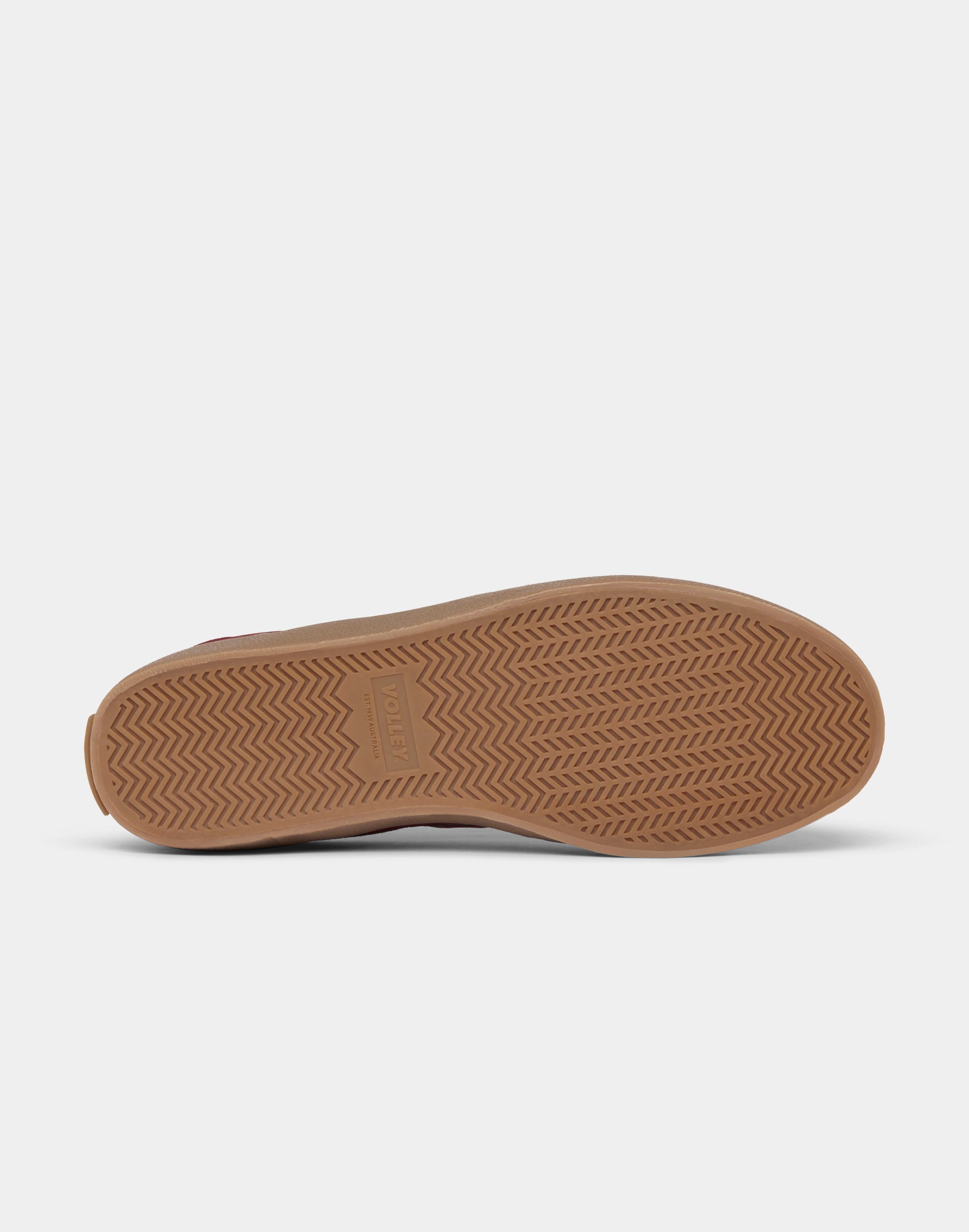 DWVUE031_DWBRG_5_1768289358000