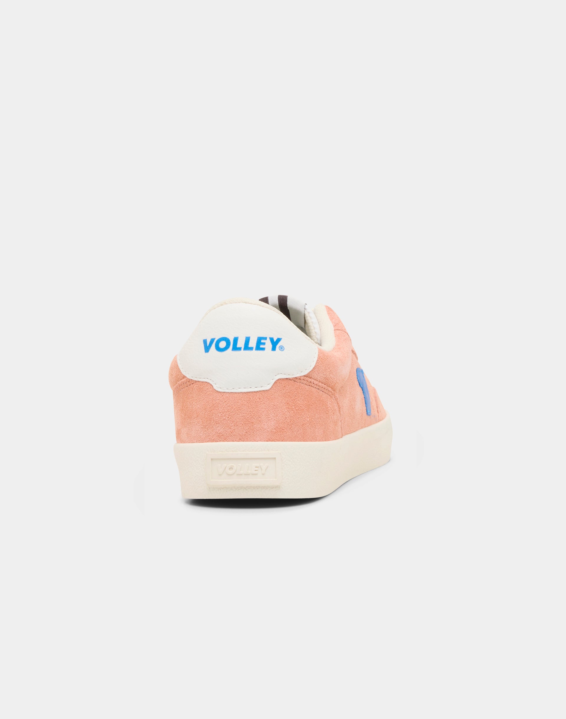 DWVUE031_DWPNK_4_1768289744000