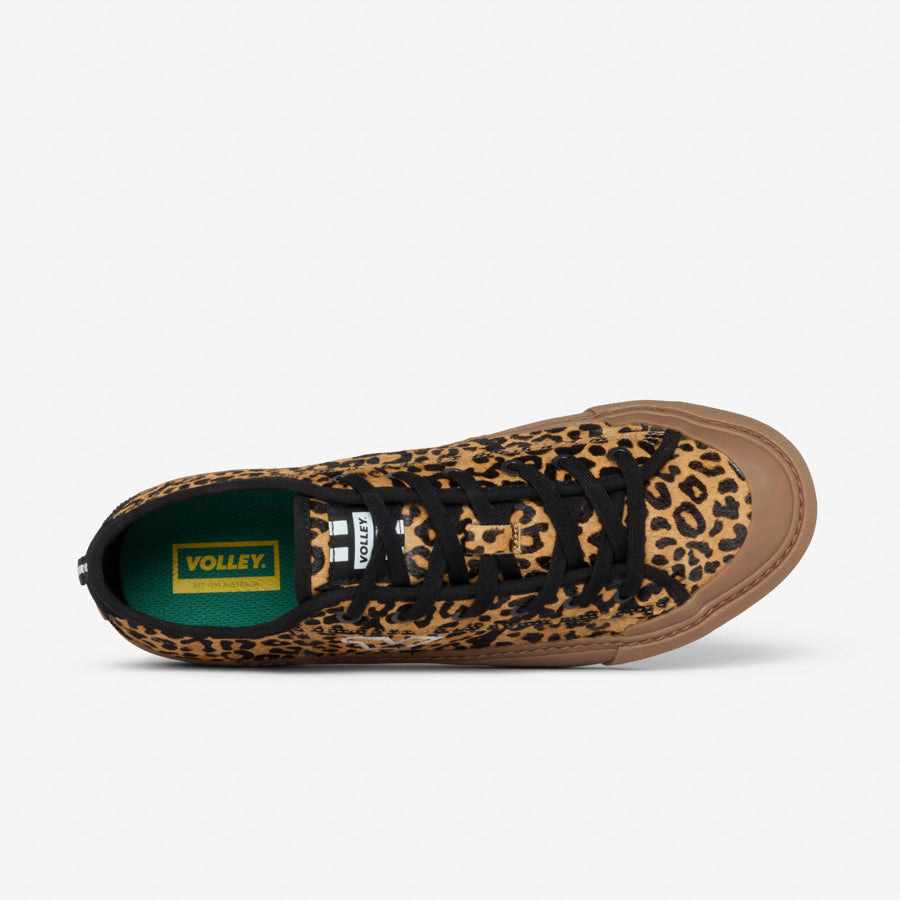 Topspin Leopard